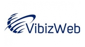 VIBIZ